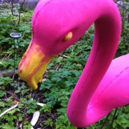 flamingo drips and biodegrades in the rain