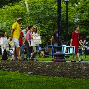 40 participants walking through the Boston Common during the June 2015 performance Boston Coastlines Future Past